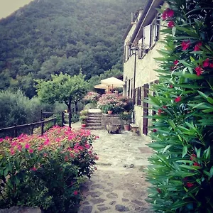 Couette-café Castagnola 64